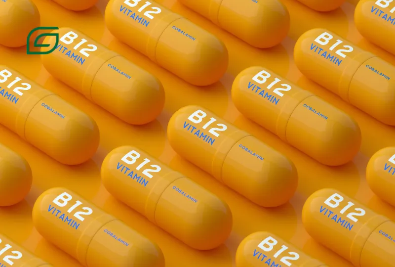 Idosos brasileiros em consulta sobre deficiência de vitamina B12